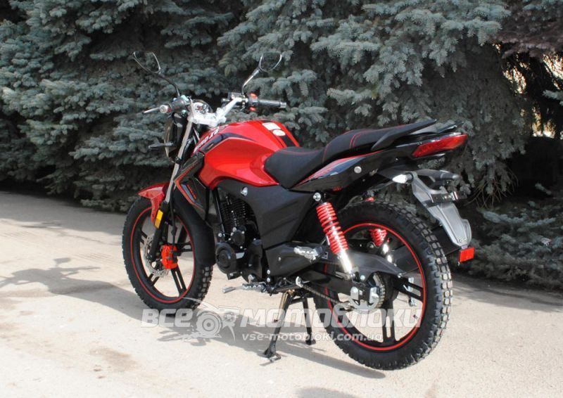 Мотоцикл SKYMOTO BIRD X6 200 MOT-270 фото