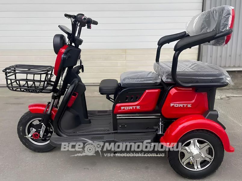 Электротрайк FORTE FAMILY MAX ELT-023 фото