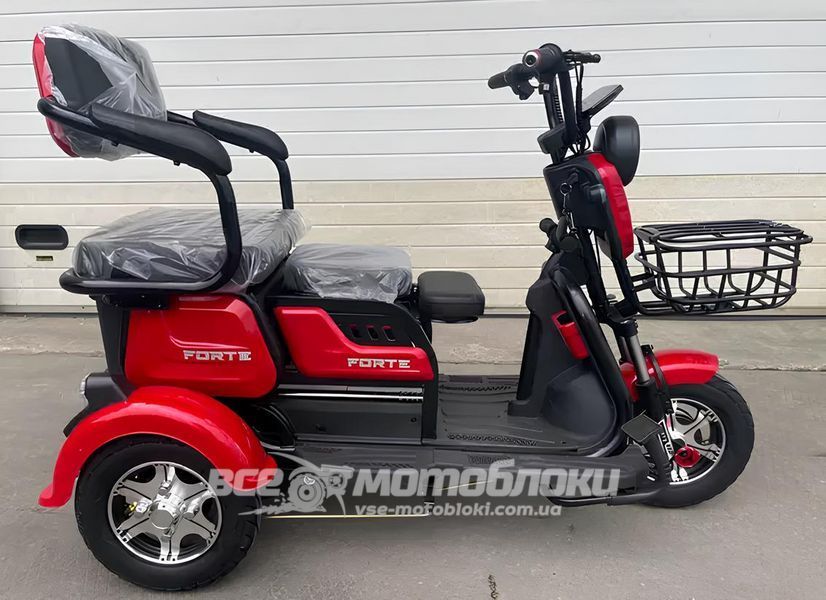 Электротрайк FORTE FAMILY MAX ELT-023 фото