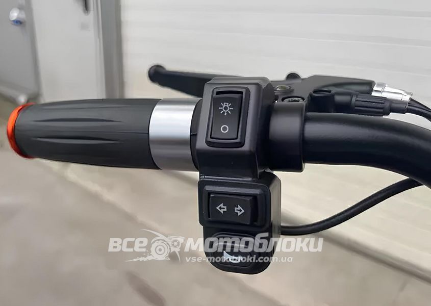 Электротрайк FORTE FAMILY MAX ELT-023 фото