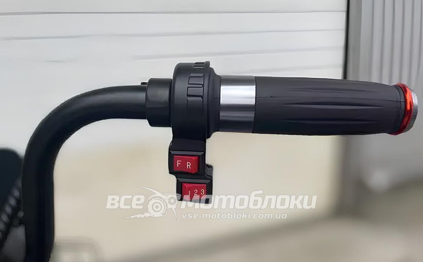 Электротрайк FORTE FAMILY MAX ELT-023 фото