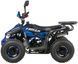 Квадроцикл ASIX MUDDY 110 KVD-274 фото 3
