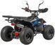 Квадроцикл ASIX MUDDY 110 KVD-274 фото 5