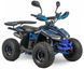 Квадроцикл ASIX MUDDY 110 KVD-274 фото 1