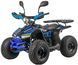 Квадроцикл ASIX MUDDY 110 KVD-274 фото 2