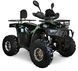 Квадроцикл SPARK SP125-12Е KVD-323 фото 1