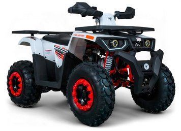 Квадроцикл FORTE BRAVES 200 KVD-029 фото