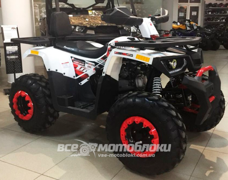 Квадроцикл FORTE BRAVES 200 KVD-029 фото