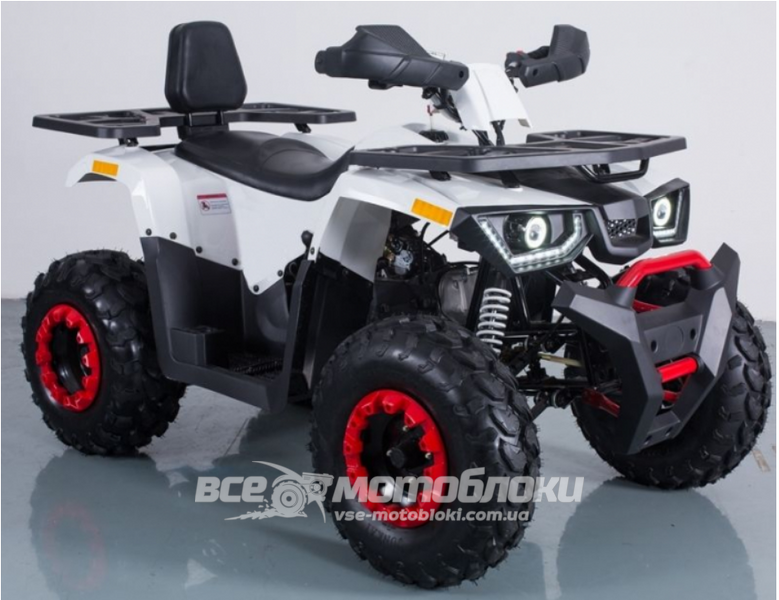Квадроцикл FORTE BRAVES 200 KVD-029 фото