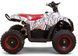 Электроквадроцикл SPORT ENERGY N-1 800W ELK-032 фото 2