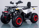 Квадроцикл FORTE BRAVES 200 KVD-029 фото 3