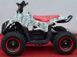 Электроквадроцикл SPORT ENERGY N-1 800W ELK-032 фото 4