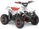 Электроквадроцикл SPORT ENERGY N-1 800W ELK-032 фото 1
