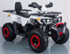 Квадроцикл FORTE BRAVES 200 KVD-029 фото 2