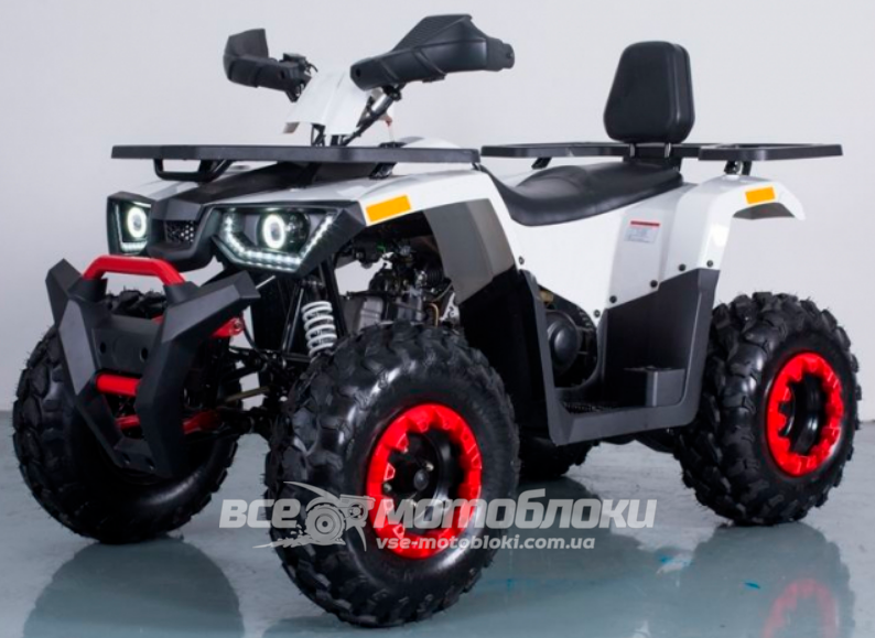 Квадроцикл FORTE BRAVES 200 KVD-029 фото