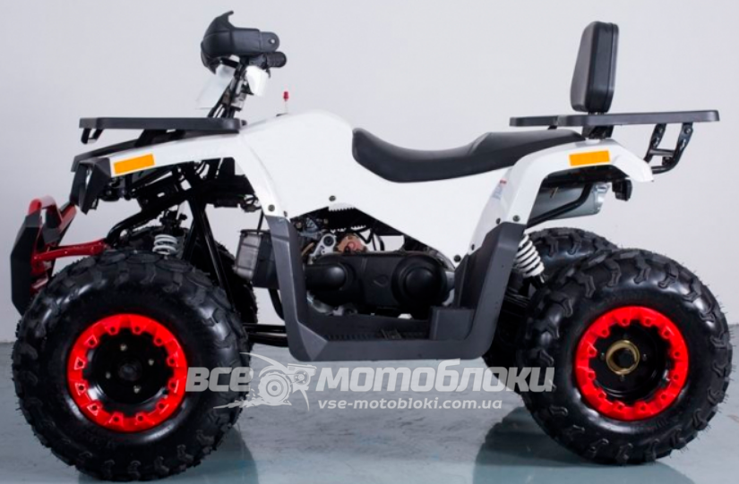 Квадроцикл FORTE BRAVES 200 KVD-029 фото