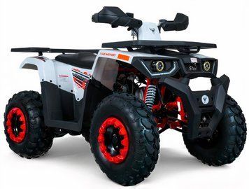 Квадроцикл FORTE HUNTER 200 KVD-030 фото