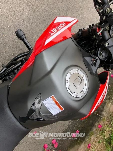 Мотоцикл HORNET TEKKEN 250 MOT-425 фото