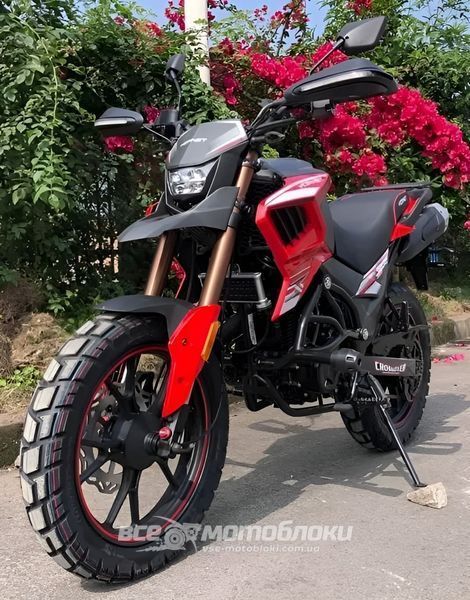 Мотоцикл HORNET TEKKEN 250 MOT-425 фото