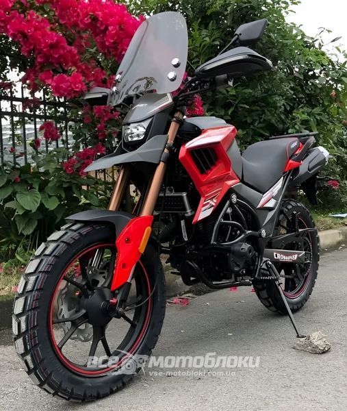 Мотоцикл HORNET TEKKEN 250 MOT-425 фото