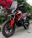 Мотоцикл HORNET TEKKEN 250 MOT-425 фото 3