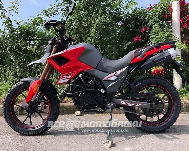 Мотоцикл HORNET TEKKEN 250 MOT-425 фото