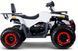 Квадроцикл FORTE HUNTER 200 KVD-030 фото 2