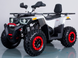 Квадроцикл FORTE HUNTER 200 KVD-030 фото 5