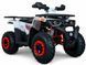 Квадроцикл FORTE HUNTER 200 KVD-030 фото 1