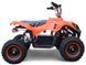 Электроквадроцикл SPORT ENERGY PROFI M 800W ELK-033 фото 2