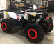 Квадроцикл FORTE HUNTER 200 KVD-030 фото 8