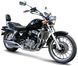 Мотоцикл SKYMOTO EAGLE 250 MOT-273 фото 1