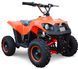 Электроквадроцикл SPORT ENERGY PROFI M 800W ELK-033 фото 1
