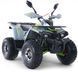 Квадроцикл ASIX Fourcraft 125 KVD-276 фото 1