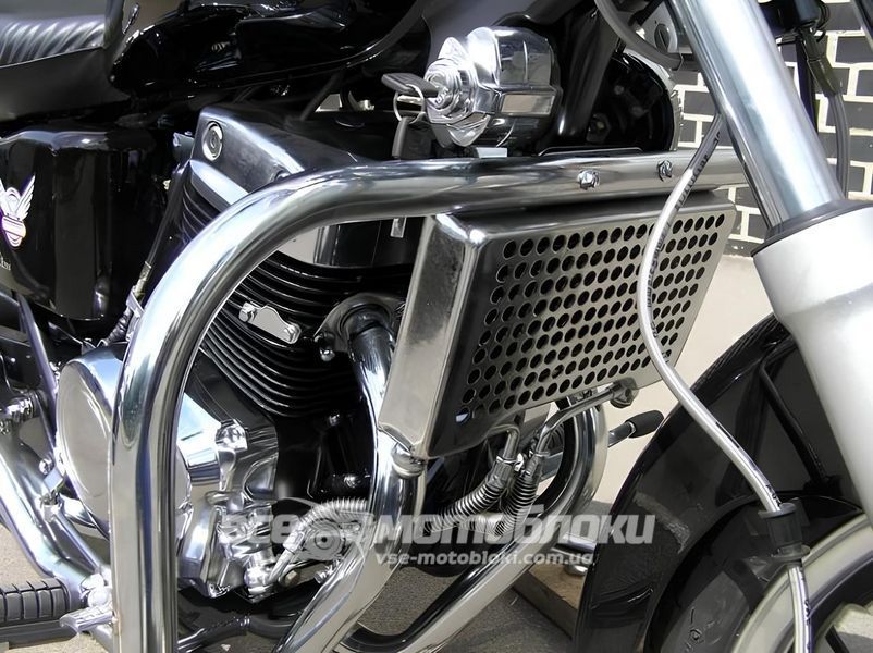 Мотоцикл SKYMOTO EAGLE 250 MOT-273 фото