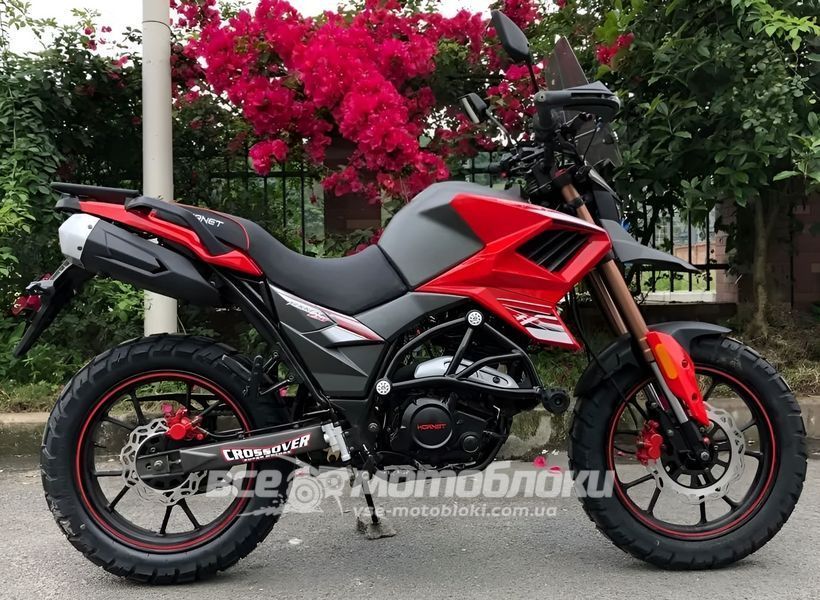 Мотоцикл HORNET TEKKEN 250 MOT-425 фото