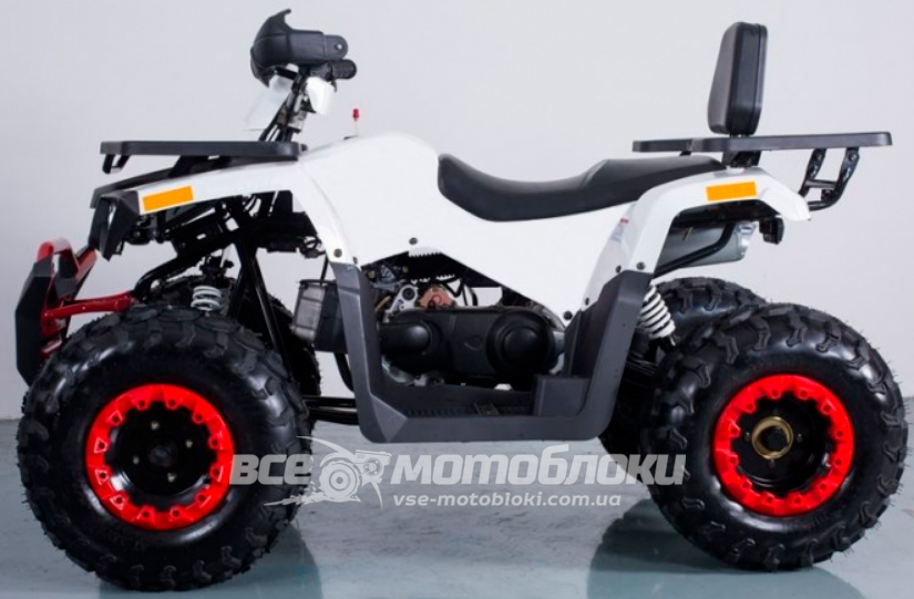 Квадроцикл FORTE HUNTER 200 KVD-030 фото