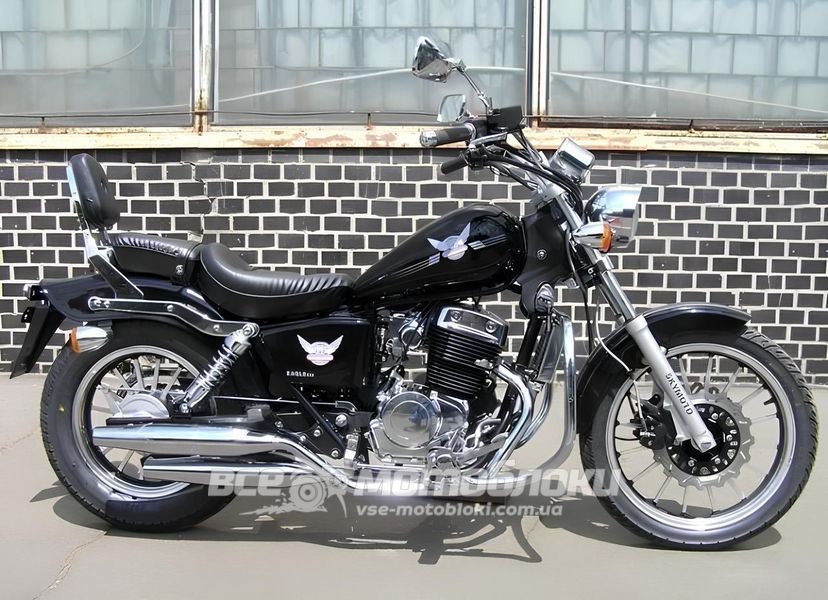 Мотоцикл SKYMOTO EAGLE 250 MOT-273 фото