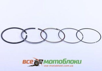 Кольца 77,0 mm STD - 177F 3944-ТЗ фото