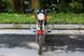 Мотоцикл SKYMOTO BIRD 150 NEW MOT-274 фото 3
