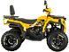 Квадроцикл SPARK SP200-5Е KVD-326 фото 8