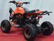 Электроквадроцикл SPORT ENERGY F-1 1000w ELK-034 фото 5