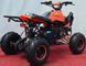 Электроквадроцикл SPORT ENERGY F-1 1000w ELK-034 фото 7