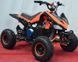 Электроквадроцикл SPORT ENERGY F-1 1000w ELK-034 фото 9