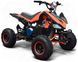 Электроквадроцикл SPORT ENERGY F-1 1000w ELK-034 фото 1