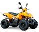 Квадроцикл Geon AXIS 110 EFI KVD-031 фото 1