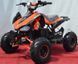 Электроквадроцикл SPORT ENERGY F-1 1000w ELK-034 фото 3