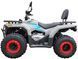 Квадроцикл FORTE ATV-200BS-К KVD-299 фото 3