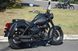 Мотоцикл SKYBIKE RENEGADE 200 MOT-090 фото 7