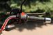 Мотоцикл SKYMOTO BIRD 150 NEW (RANGER) MOT-341 фото 26